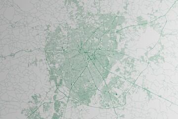 Map of the streets of Curitiba (Brazil) made with green lines on white paper. 3d render, illustration