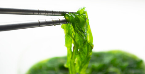 Wakame seaweed chuka salad is eaten with Chinese chopsticks. Useful wakame seaweed. Metal sticks hold chuka lettuce. © K1tyara