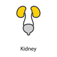 Kidney icon design stock illustration