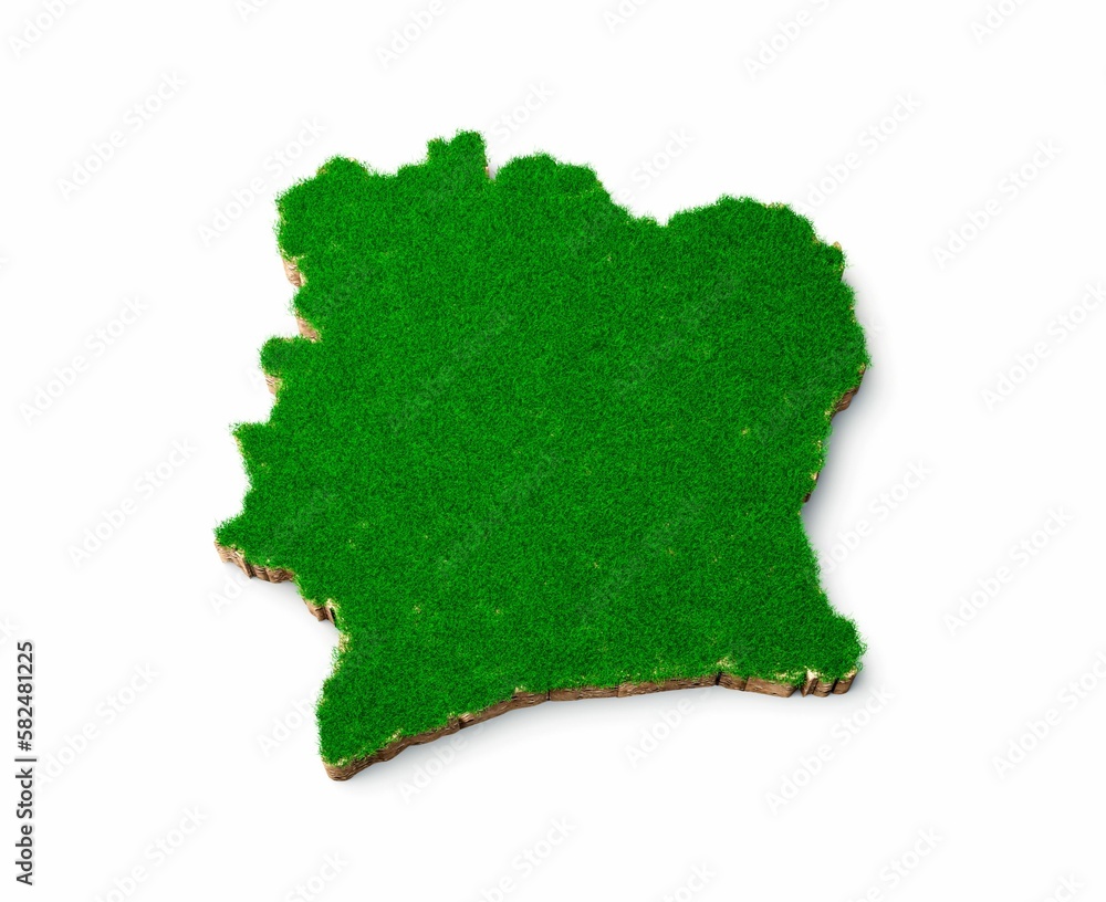 Poster 3d rendering of the ivory-shaped map with grass and soil texture isolated on a white background