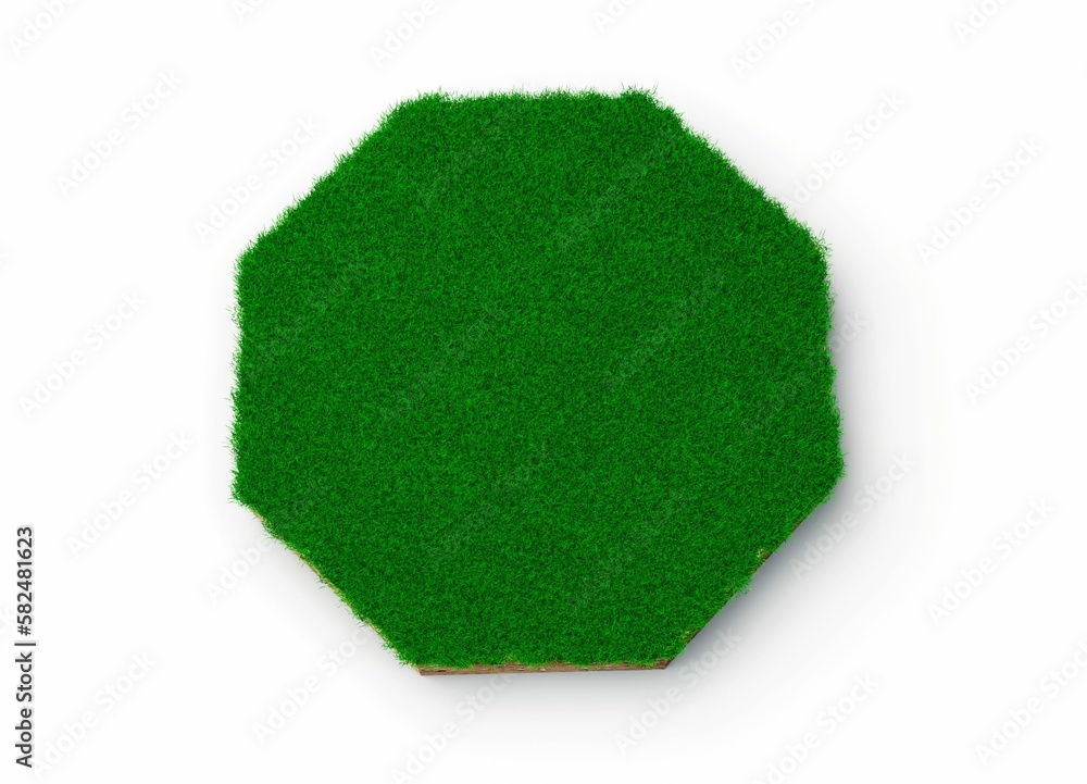 Wall mural 3d rendering of an octagon shape soil land covered with green grass isolated on white background.