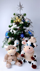 Cow and bull under the Christmas tree
