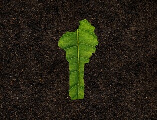 Illustration of a Benin map made of green leaf on a soil background