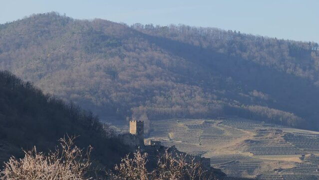 Apricot Blossoms and Castle Hinterhaus in Wachau in Austria in Spring