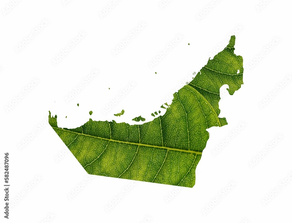 Sticker dubai map made of green leaves on soil background ecology concept on white background