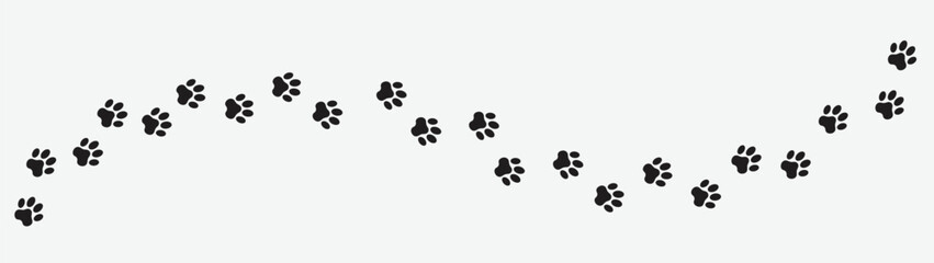 Paw vector foot trail print of cat. Dog, pattern animal tracks isolated on transparent background, backgrounds, vector icon Illustration © DesignViralHub