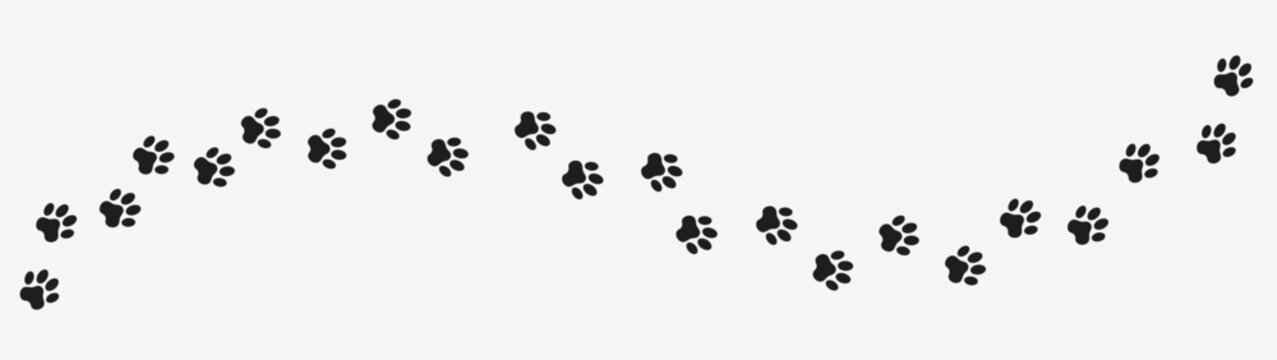 Paw vector foot trail print of cat. Dog, pattern animal tracks isolated on transparent background, backgrounds, vector icon Illustration