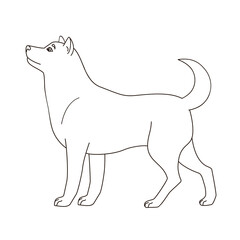illustration of a dog black and white outline