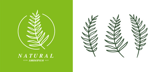 Organic fern illustration and badges logo template. Set of Minimalist stamp labels for tag fern leaves. Collection of hand drawn natural sign simple design