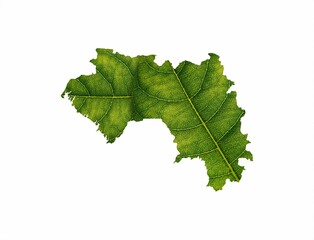 Guinea map made of green leaves on white background, ecology concept