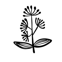 flower floral element