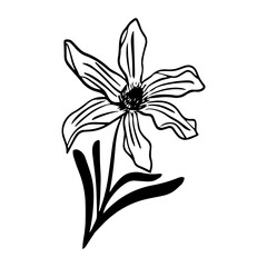 flower floral element