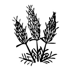 flower floral element