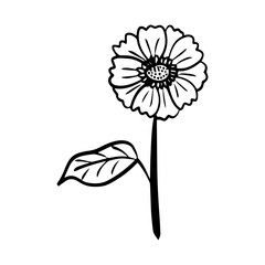 flower floral element