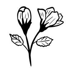 flower floral element