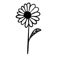 flower floral element