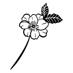 flower floral element