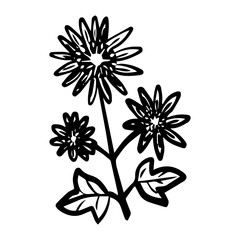 floral flower element