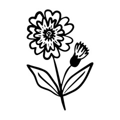 floral flower element