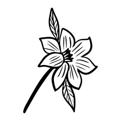 floral flower element
