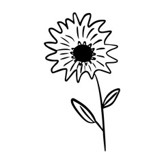 floral flower element