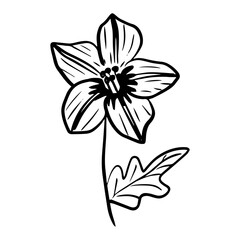 floral flower element