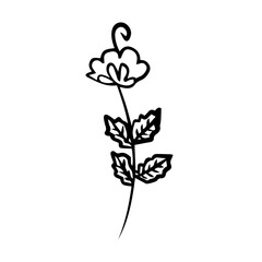 floral flower element