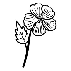 Obraz premium floral flower element