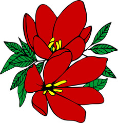 color graphic drawing of two large red flowers with a black outline, isolated element, decor