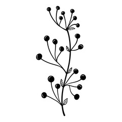 hand drawn floral flower element