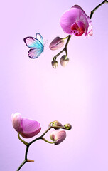 Fototapety na wymiar - Fototapeta24.pl