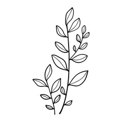 hand drawn floral flower element