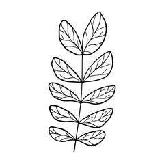 hand drawn floral flower element