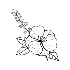 hand drawn floral flower element