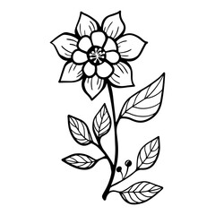 hand drawn floral flower element