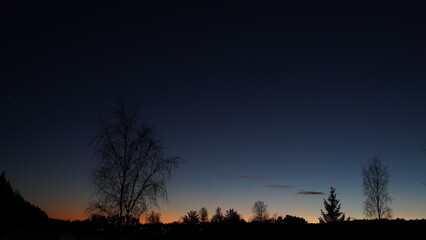 Fototapeta premium Beautiful view of an orange sunset in a forest with trees