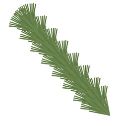 Christmas pine branch PNG image icon with transparent background