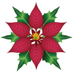 Christmas flower PNG image icon with transparent background