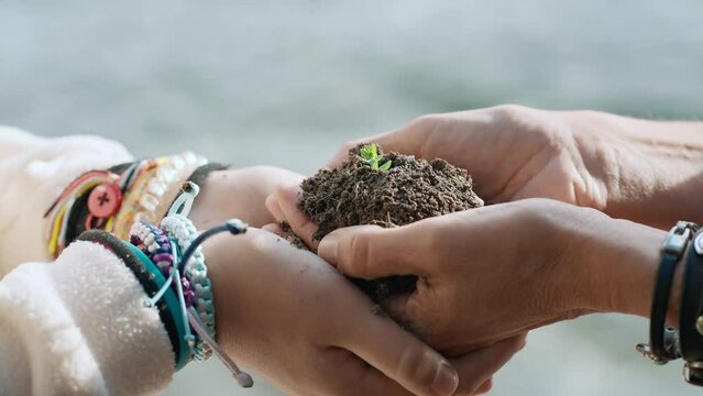 Video of close up of two women hands holding growing seeds from healthy pot of soil.