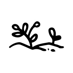 hand drawn plant