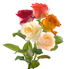 Bouquet colorful  flowers isolated on transparent background.