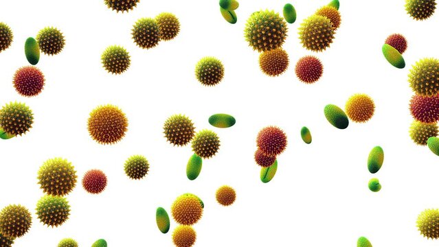 Floating airborne pollen particles isolated on white. Pollen allergy is also known as hay fever or allergic rhinitis