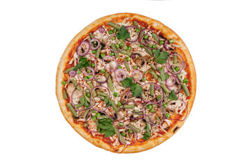 appetizing fresh pizza on white background for online restaurant menu 1