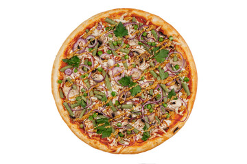 appetizing fresh pizza on white background for online restaurant menu