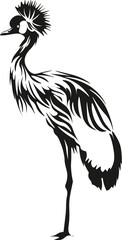 Black and White Cartoon Illustration Vector of a Cassowary Standing