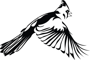 Black and White Cartoon Illustration Vector of a Bird in Flight