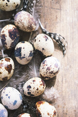 Quail eggs with feather on table  - 582515456