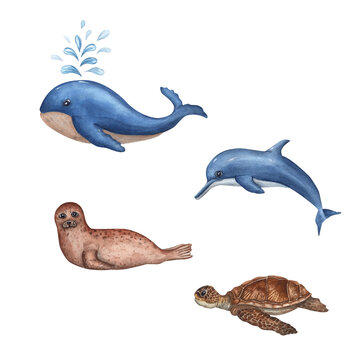 Watercolor sea set with whale, dolphin, fur seal, turtle isolated on white background. For baby textile, wallpaper, nursery decoration, cards, background, souvenirs, fabric, wrapping. Cartoon style.