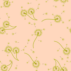 Dandelion background your design. Abstract floral seamless pattern.