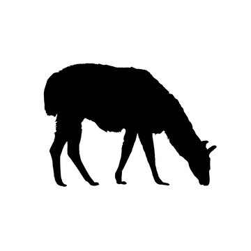 Llama clip art preview